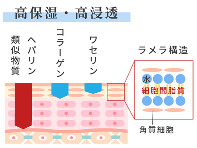 シミ 保湿 ヘパリン類似物質