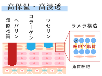 シワ 保湿 ヘパリン類似物質