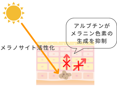 シミ アルブチン