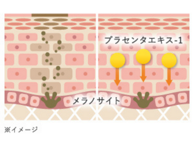 ホロベル クリーム プラセンタ