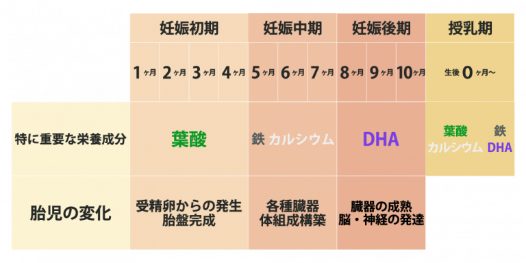 時期に応じた必要な栄養素