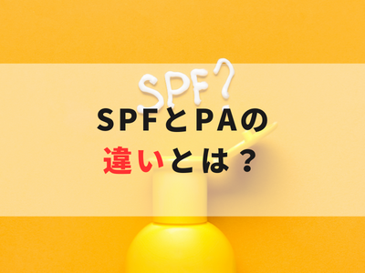 筆者紹介
