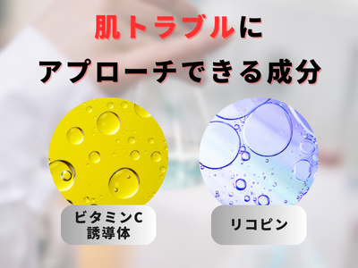 筆者紹介
