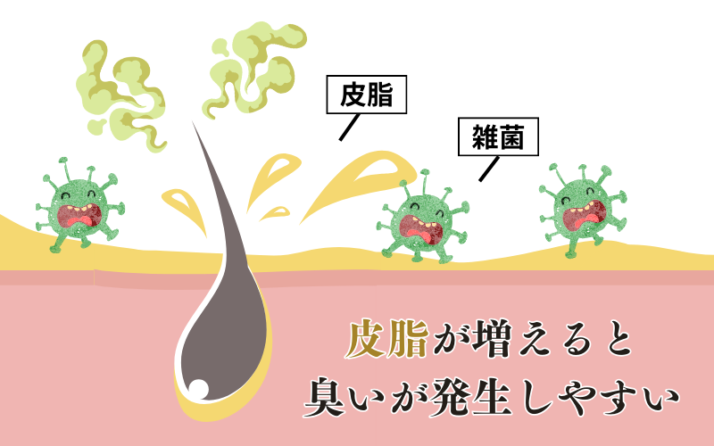 シャンプー 臭い 皮脂