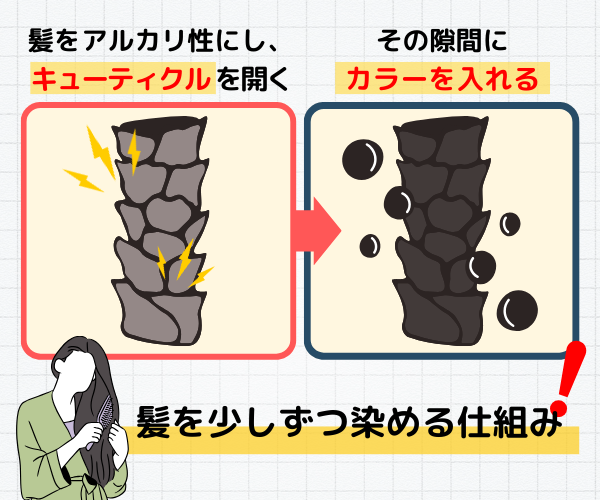 白髪シャンプー