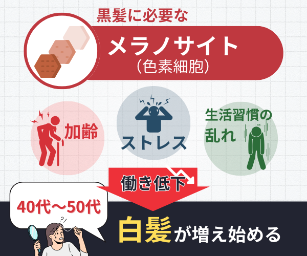 白髪シャンプー