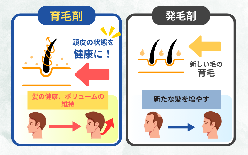 育毛剤と発毛剤の違い