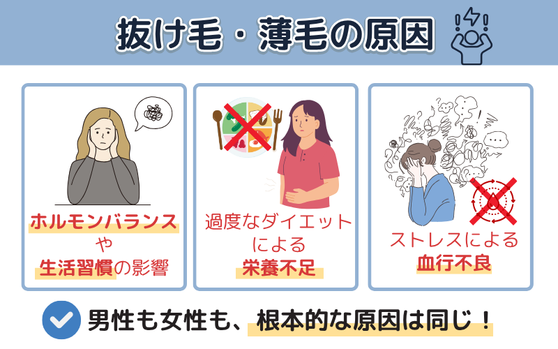 薄毛になるメカニズム