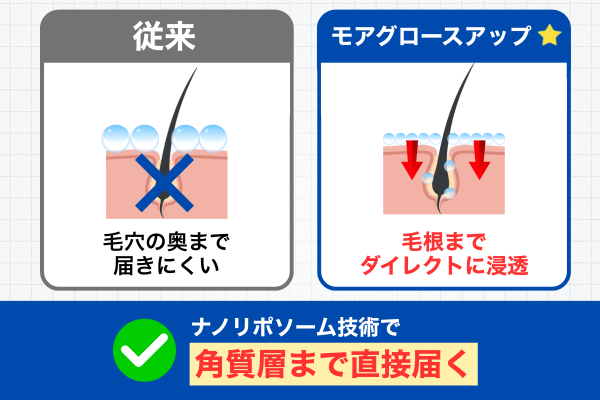 ナノリポソーム技術