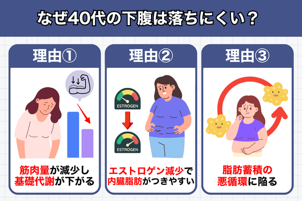40代女性が痩せない3つの理由：①筋肉量減少と脂肪燃焼力（基礎代謝）低下、②内臓脂肪が増えやすい体質に変化、③内臓脂肪が脂肪を呼び込む悪循環