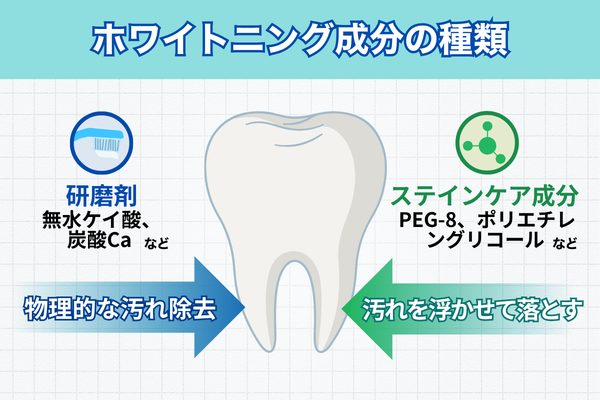 削り落とす（研磨剤）と浮かせて落とす（薬用成分）の2つのアプローチ。強い研磨剤だけに頼らず、浮かせる成分とのバランスが重要だと示す図