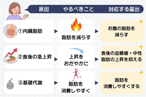 原因・やるべきこと・対応する届出の対応表：①内臓脂肪→たまった脂肪を減らす→お腹の脂肪・内臓脂肪を減らす／②食後の急上昇→上がり方をおだやかにする→糖・脂の吸収を抑える、食後の血糖値・中性脂肪の上昇をおだやかにする／③基礎代謝→脂肪を消費しやすくする→脂肪を消費しやすくする