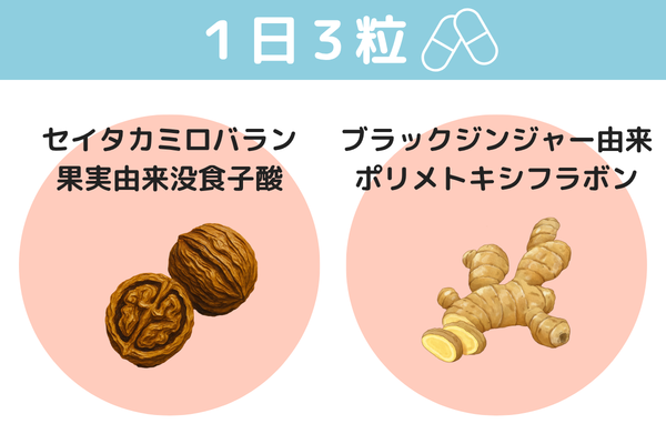1日3粒。セイタカミロバラン果実由来没食子酸とブラックジンジャー由来ポリメトキシフラボンの2成分